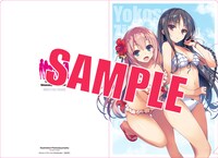 アライブ8月号には、トモセシュンサクのイラストを使った「ようこそ実力至上主義の教室へ」のクリアファイルも付属している。