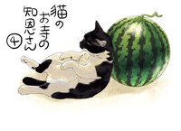 思わず顔がほころんでしまうような、かわいい猫や犬が登場するのも「猫のお寺の知恩さん」の魅力の1つだ。