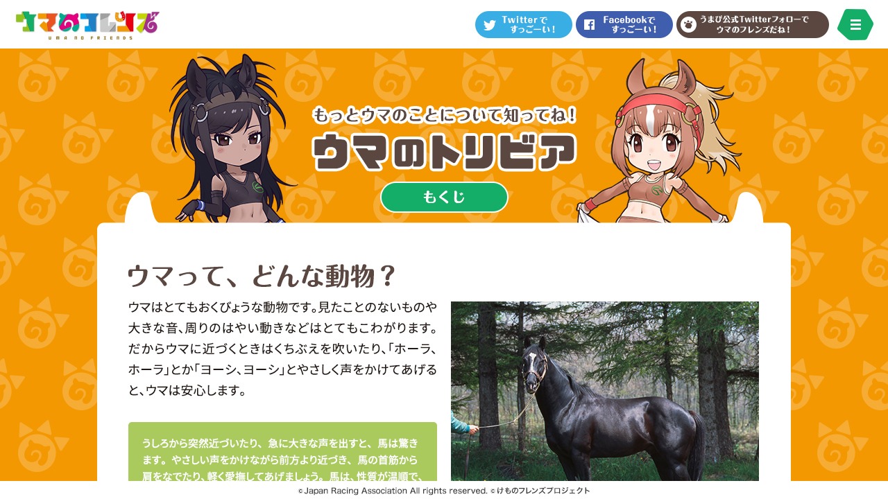 「ウマのトリビア」