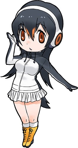 ジェンツーペンギン