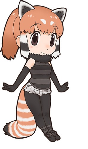 レッサーパンダ