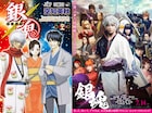 映画「銀魂」予告をジャックし原作マンガ最新刊PR、杉田智和ら参加の特別映像