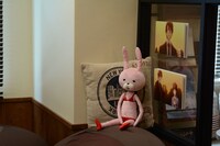 ありいの代理のウサギのぬいぐるみ。