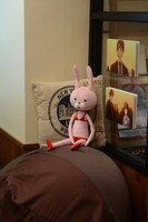 ありいの代理のウサギのぬいぐるみ。
