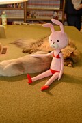 猫たちに寄り添う、代理のウサギのぬいぐるみ。