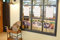 展示のアニメパネルと猫。