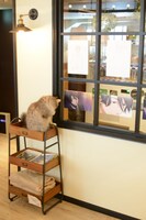 展示のアニメパネルと猫。