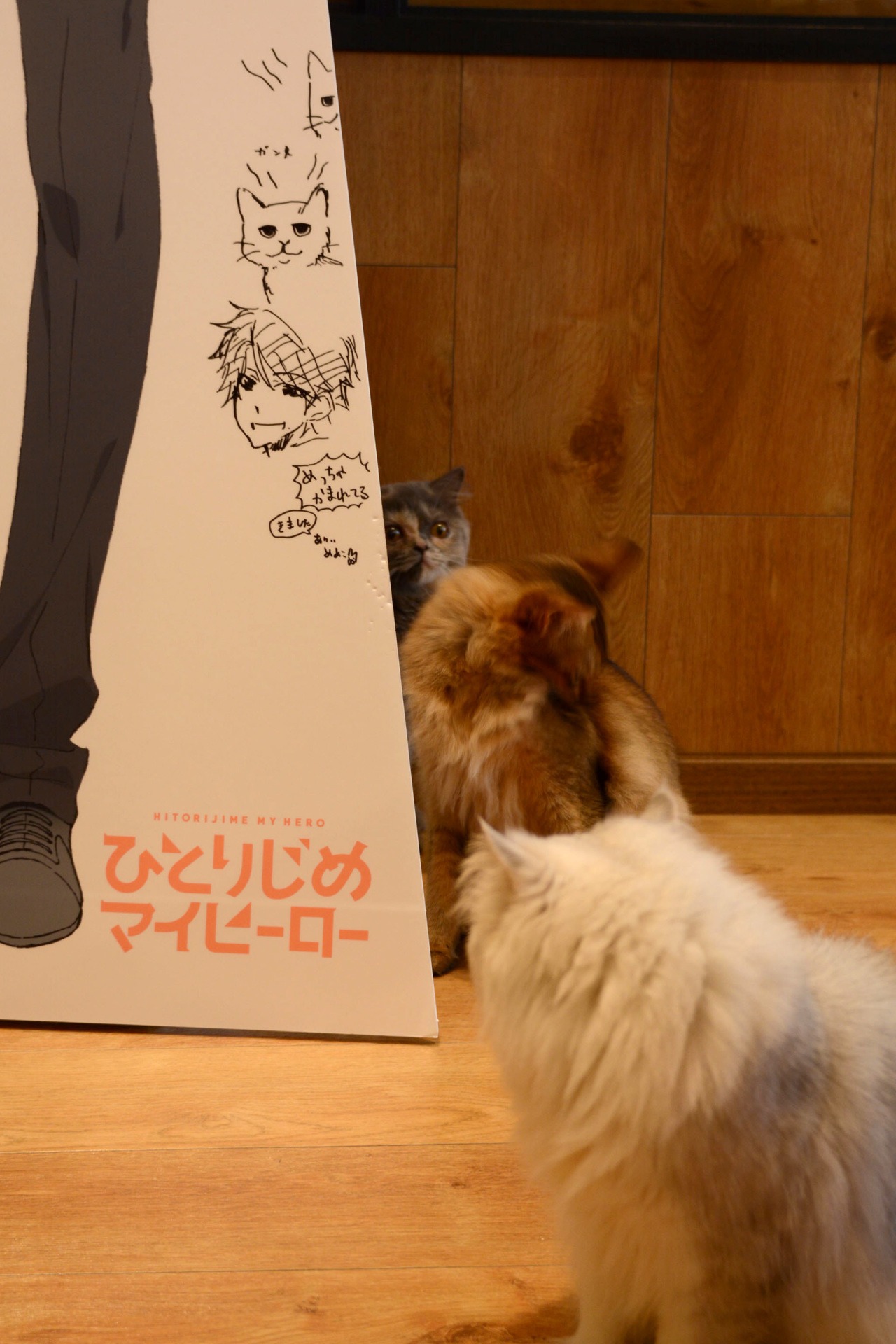 「ひとりじめマイヒーロー」のスタンディと猫たち。