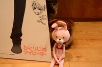 「ひとりじめマイヒーロー」のスタンディとウサギのぬいぐるみと猫たち。