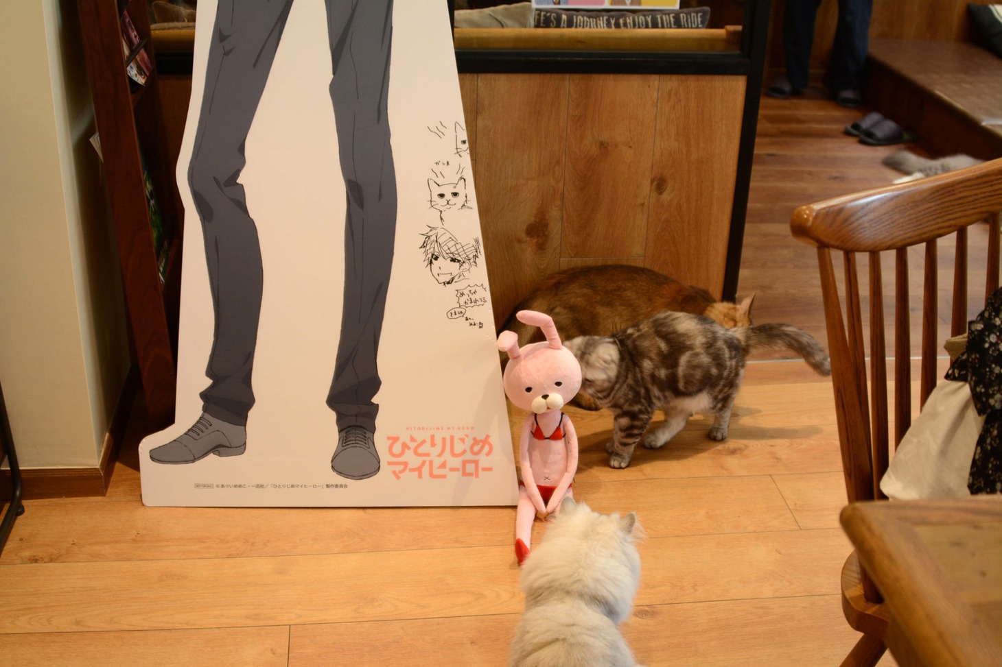 「ひとりじめマイヒーロー」のスタンディとウサギのぬいぐるみと猫たち。