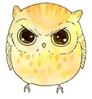 作中に登場する、コノハズクのコノハ。