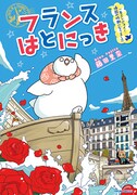 「フランスはとにっき 一年エンジョイ！帰国の時期になりました」