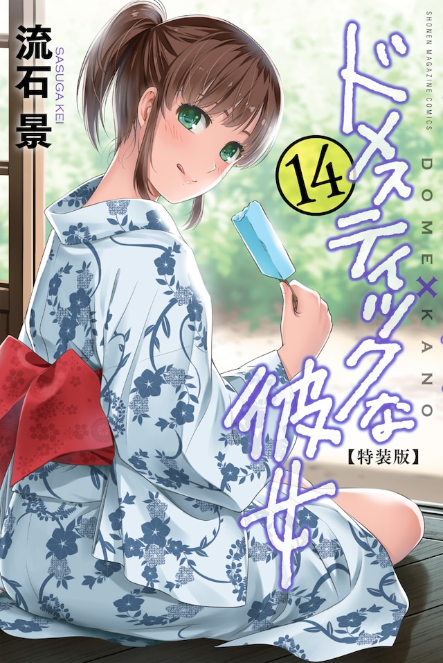 「ドメスティックな彼女」14巻特装版