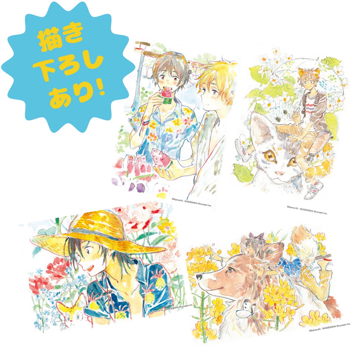 「春風のエトランゼ展～紀伊カンナの世界～」で販売されるイラストカード4種セット。