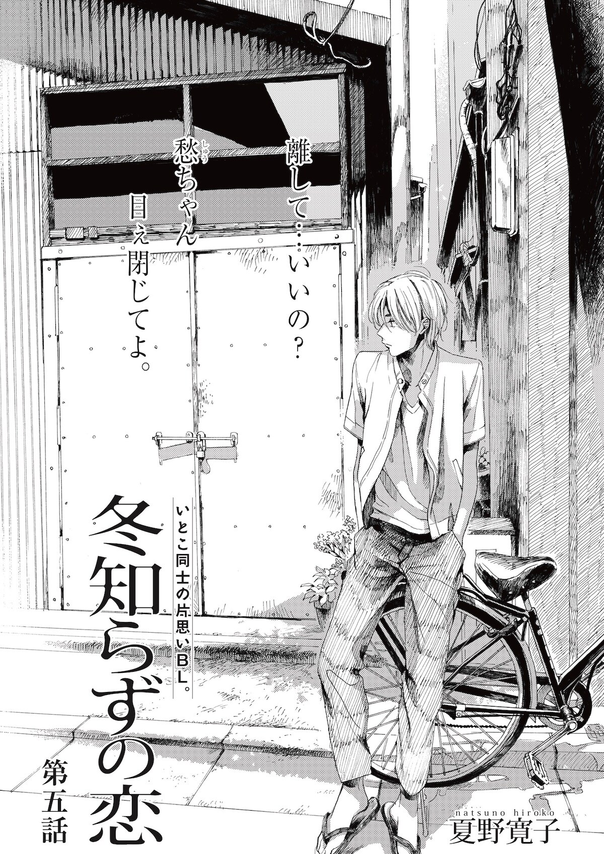 夏野寛子先生 冬知らずの恋