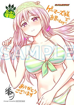 ゲーマーズ特典