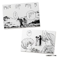 「らんま1/2 乱馬とあかねのピンズ」