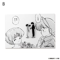 「らんま1/2 乱馬とあかねのピンズ」