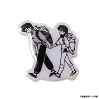 「らんま1/2 乱馬とあかねのピンズ」