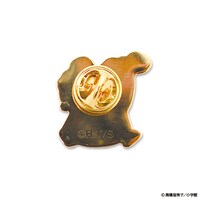 「らんま1/2 乱馬とあかねのピンズ」