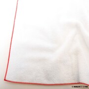 「らんま1/2 乱馬とあかねの総柄ガーゼタオル」