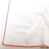 「らんま1/2 乱馬とあかねの総柄ガーゼタオル」