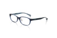 十龍之介モデル