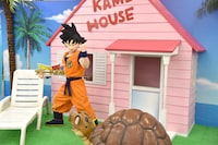 会場内のカメハウスに登場した悟空。