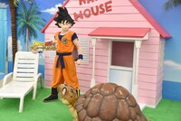 会場内のカメハウスに登場した悟空。