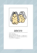 anccoのプロフィール。