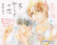 「冬知らずの恋」書店用POP