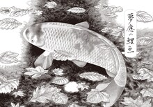 「水木しげるの雨月物語 愛蔵復刻版」のイメージ。