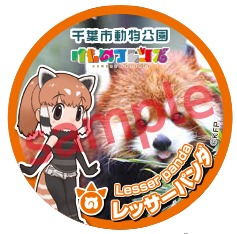 レッサーパンダの缶バッジ。