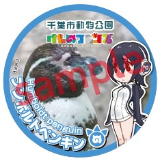 フンボルトペンギンの缶バッジ。