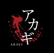 ドラマ「アカギ」のロゴ。