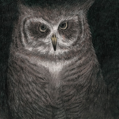 「フクロウの声が聞こえる」ジャケット