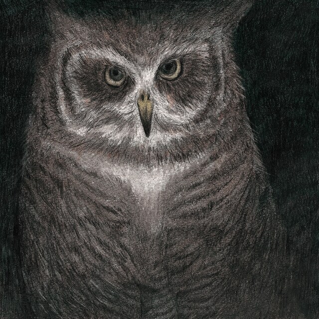 「フクロウの声が聞こえる」ジャケット