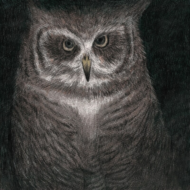 「フクロウの声が聞こえる」ジャケット