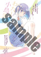 ゲーマーズ特典