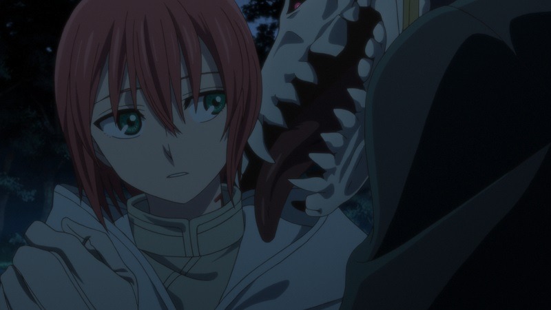 アニメ「魔法使いの嫁」場面写真