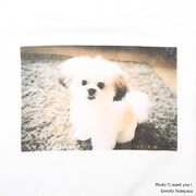 「モコゾウ フォトTシャツ」