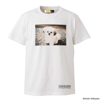 「モコゾウ フォトTシャツ」