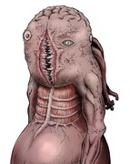 「あえじゅま様の学校」のカラーカット。(c)鈴丸れいじ/集英社