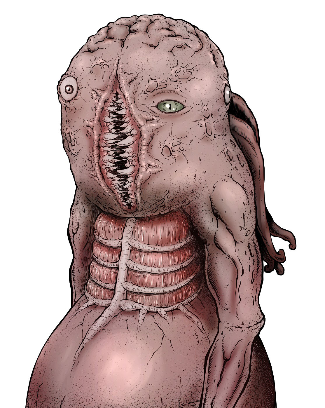 「あえじゅま様の学校」のカラーカット。(c)鈴丸れいじ/集英社