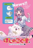 「もふもふ☆ ほしのこぐまスタンプ」告知ビジュアル