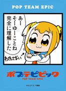 「ブロッコリーキャラクタースリーブ ポプテピピック」の「あーそーゆーことね 完全に理解した」柄。