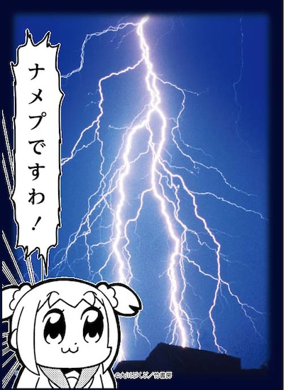 「ブロッコリースリーブプロテクター【世界の名言】 ポプテピピック」の「ナメプですわ！」柄にカードを入れた例。