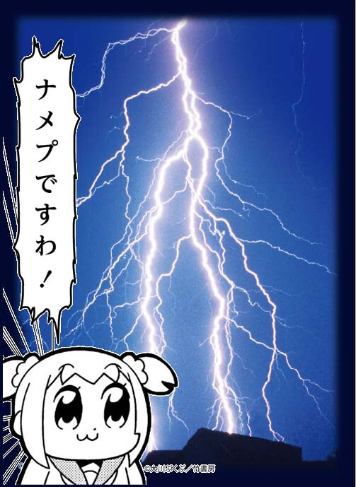 「ブロッコリースリーブプロテクター【世界の名言】 ポプテピピック」の「ナメプですわ！」柄にカードを入れた例。