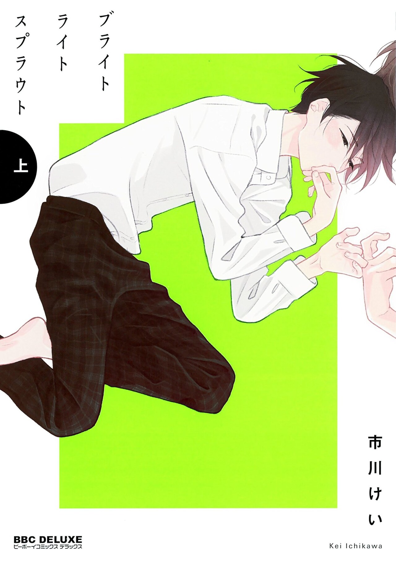 市川けいが描く、30歳イラストレーターとワケアリ高校生の年の差BL上下巻