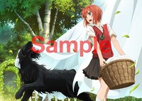 ヤマザキコレ描き下ろしによるとらのあなの特典の絵柄。